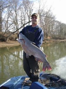 Catfish and Carp Facts and Fishing Baits to Catch Them