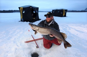 Tip-Up Trends on Ice, Fishing Reports and Forum
