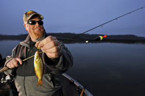 Floats for Walleyes, Fishing Reports and Forum