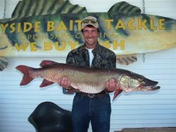 Vermont's Missisquoi River Muskie Restoration, Fishing Reports and Forum
