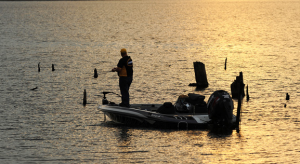 Bass Fishing Cold Fronts, Warming, & Spring, Fishing Reports and Forum