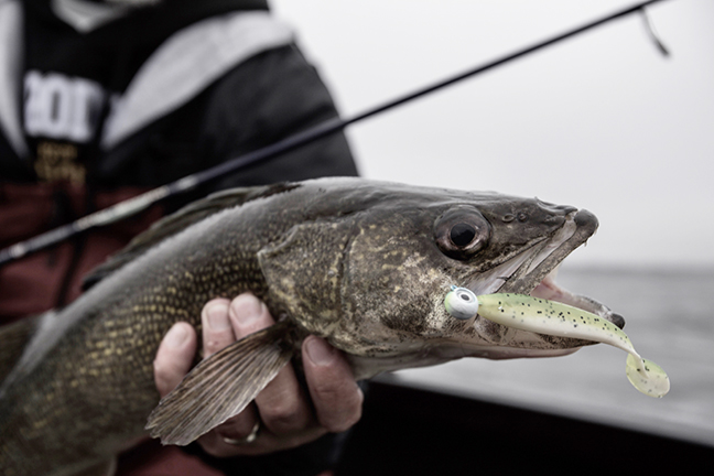 Spring into Walleyes, Fishing Reports and Forum