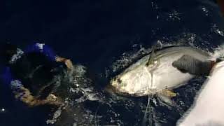 Yellowfin with Inside Sportfishing